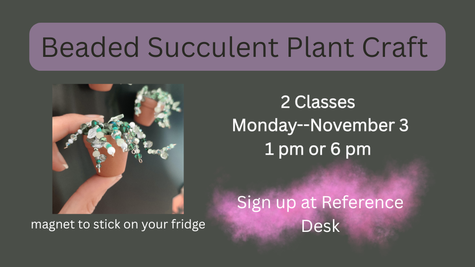 Beaded succulent plant craft on November 3 at 1pm or 6pm.