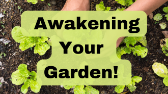 Awaken your garden