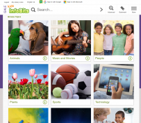 dog and bird, girl playing guitar, group of people, plants. sports balls, technology