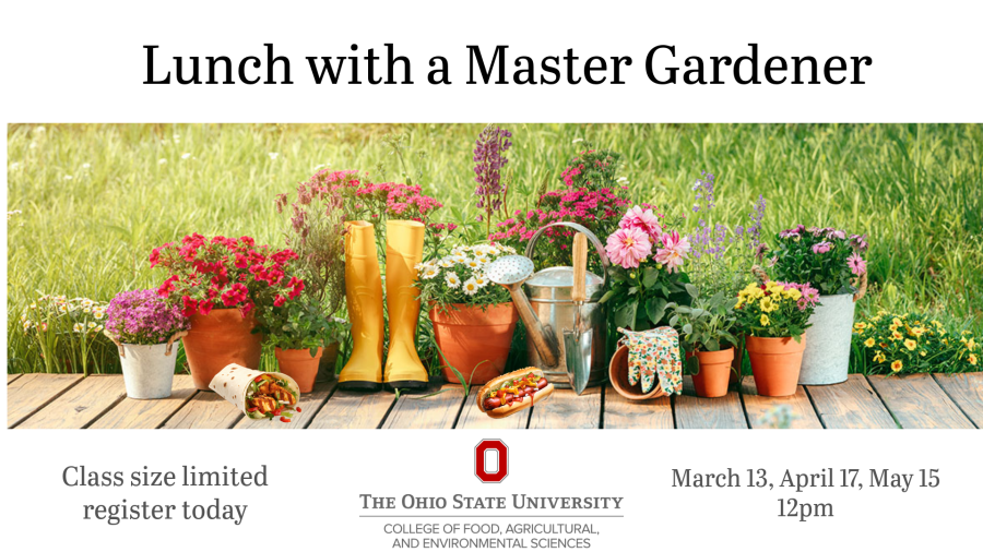 lunch with a master gardener