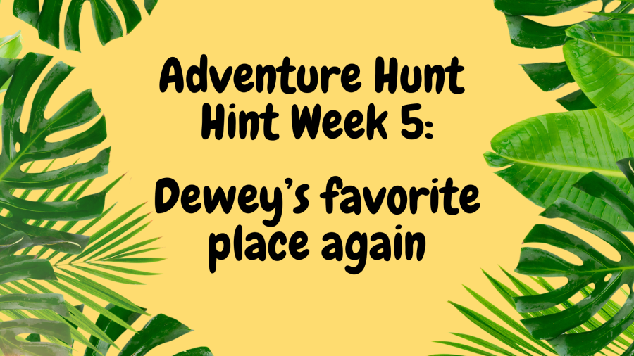 Week 5 hint