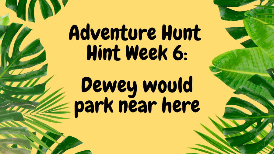 week 6 hint