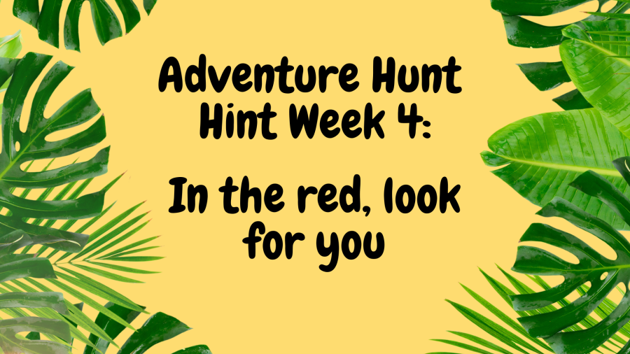 Week 4 Hint