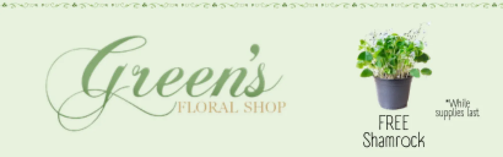 Free shamrock plant at Green's.